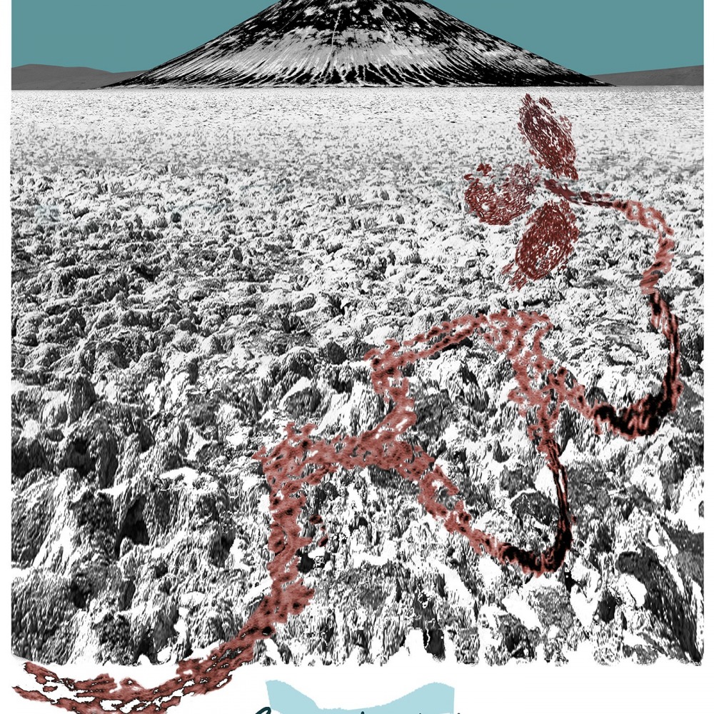 Je vous propose le carnet de route imaginaire d’un voyage prévu au printemps 2020 dans l’Altiplano argentin, annulé à cause du Covid 19.
J’y oppose les lieux de visite prévus aux informations données sur la pandémie aux mêmes dates.
Les noms des lieux sont réels, mais les paysages sont fictifs. Ces montages sont réalisés avec des photos de mes différents voyages, ainsi que des documents transmis par notre guide argentin. Dans ces espaces recomposés, j’ai imprimé l’empreinte du coronavirus.