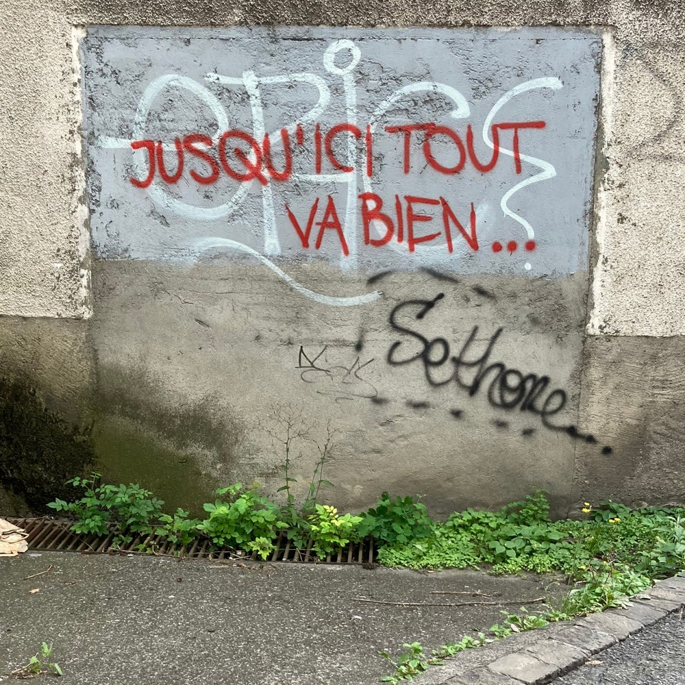 « Corona nous a plongé dans une atmosphère sidérante et un silence assourdissant. Les vieux (dès 65 ans) catégorisés ‘à risque’ ont été mis à l’écart. Jusqu’ici tout va bien… 
Et les jeunes ? La médecine a des remèdes pour alléger les souffrances infligées par un virus. En a-t-elle pour l’abandon, l’indifférence, l’ennui, la solitude ? »