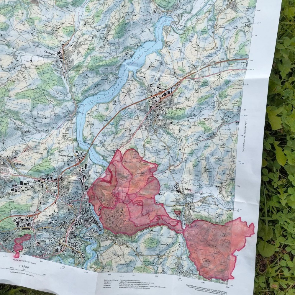 Durant le confinement, ma liberté de mouvement a été réduite aux promenades autour de chez moi. Sur la Carte nationale au 1:25000, je signifie en rouge et rose l’espace qu’a été le mien. J’ai enregistré les chants d’oiseaux, que je ressentais comme une tendresse consolatrice, et aussi comme un contraste heureux avec le drame que nous vivions : la nature reprenait le dessus. Les trois oiseaux principaux ont été identifiés par un ornithologue.